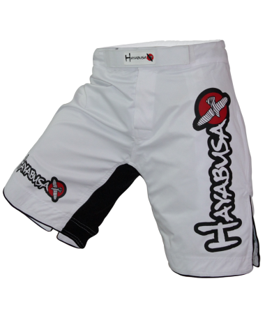 X-Train & MMA - Hayabusa white